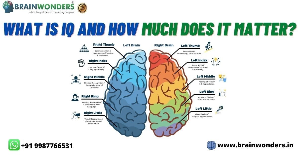 What is IQ — and how much does it matter? – Brainwonders