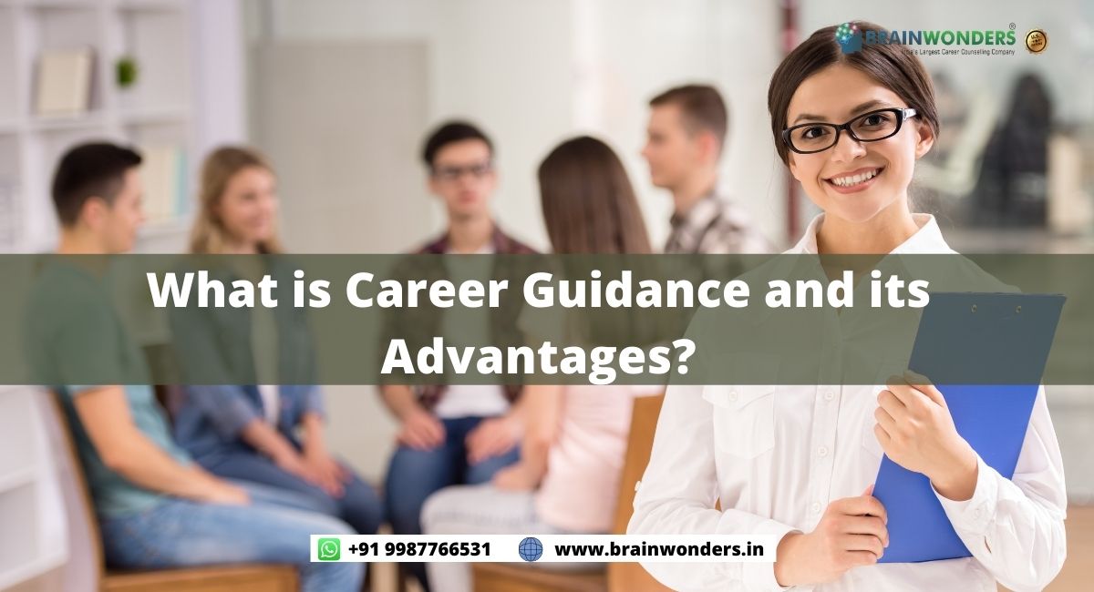 importance of career guidance essay