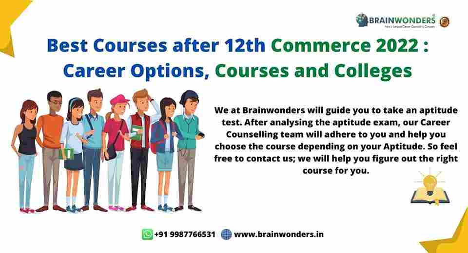 Brainwonders Largest DMIT Career Counselling Company In India