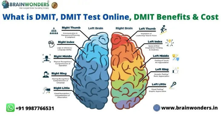 Dmit