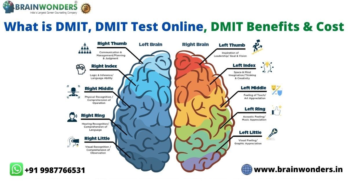 DMIT
