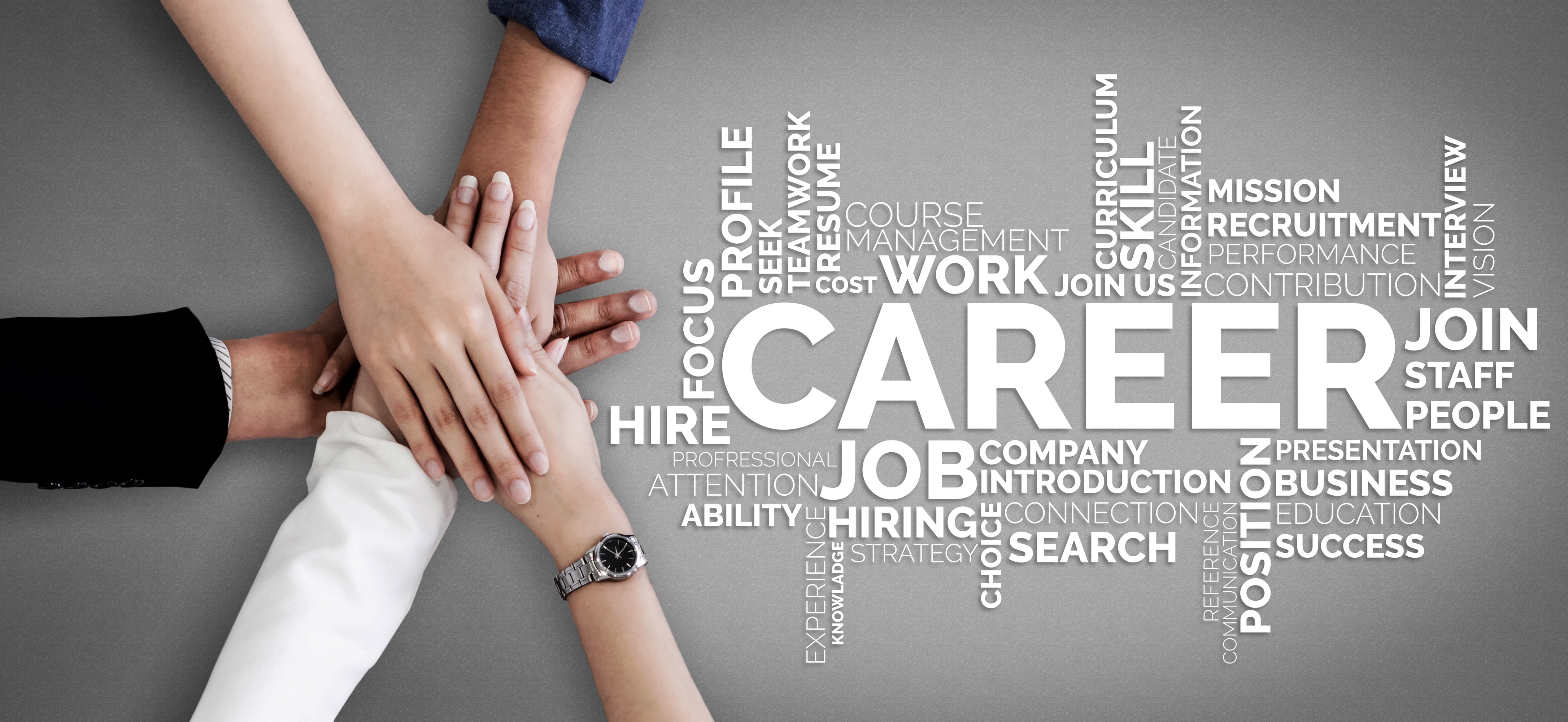 Career