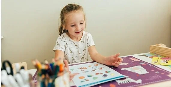 Toddler Cognitive Development