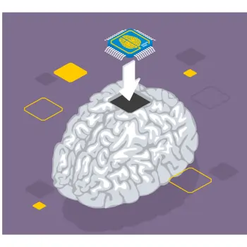 Fingerprints and Brain Connection
