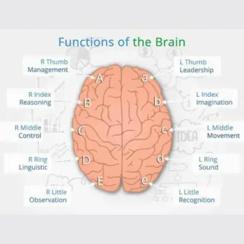 WHAT IS DMIT COUNSELLING?